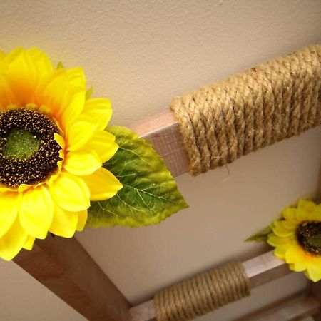Sunrise Studio Temeşvar Dış mekan fotoğraf